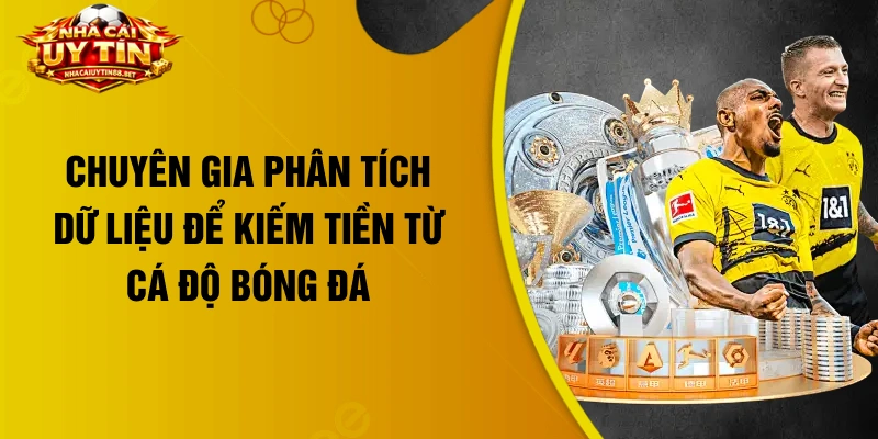 Chuyên gia phân tích dữ liệu để kiếm tiền từ cá độ bóng đá